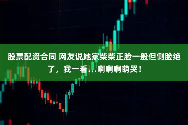 股票配资合同 网友说她家柴柴正脸一般但侧脸绝了，我一看…啊啊啊萌哭！